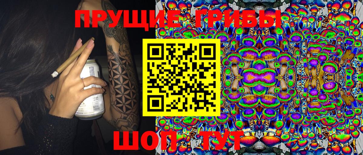 Ярославль  Псилоцибиновые грибы Magic Shrooms  Псилоцибиновые грибы мицелий  закладки  Вход с VPN 