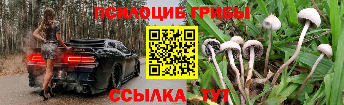 Псилоцибиновые грибы мицелий Ярославль